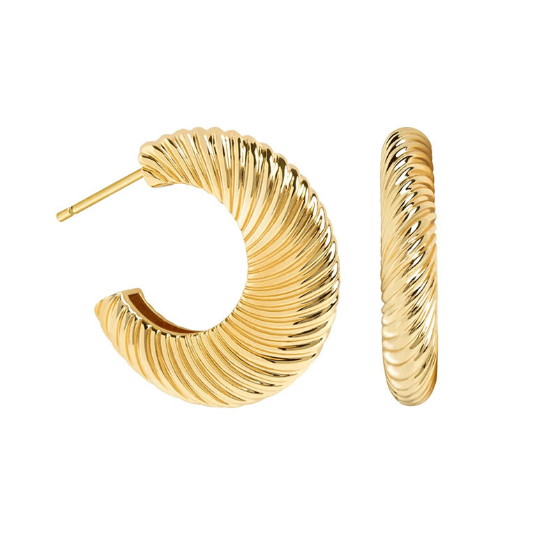 Round Texture Oval Earrings